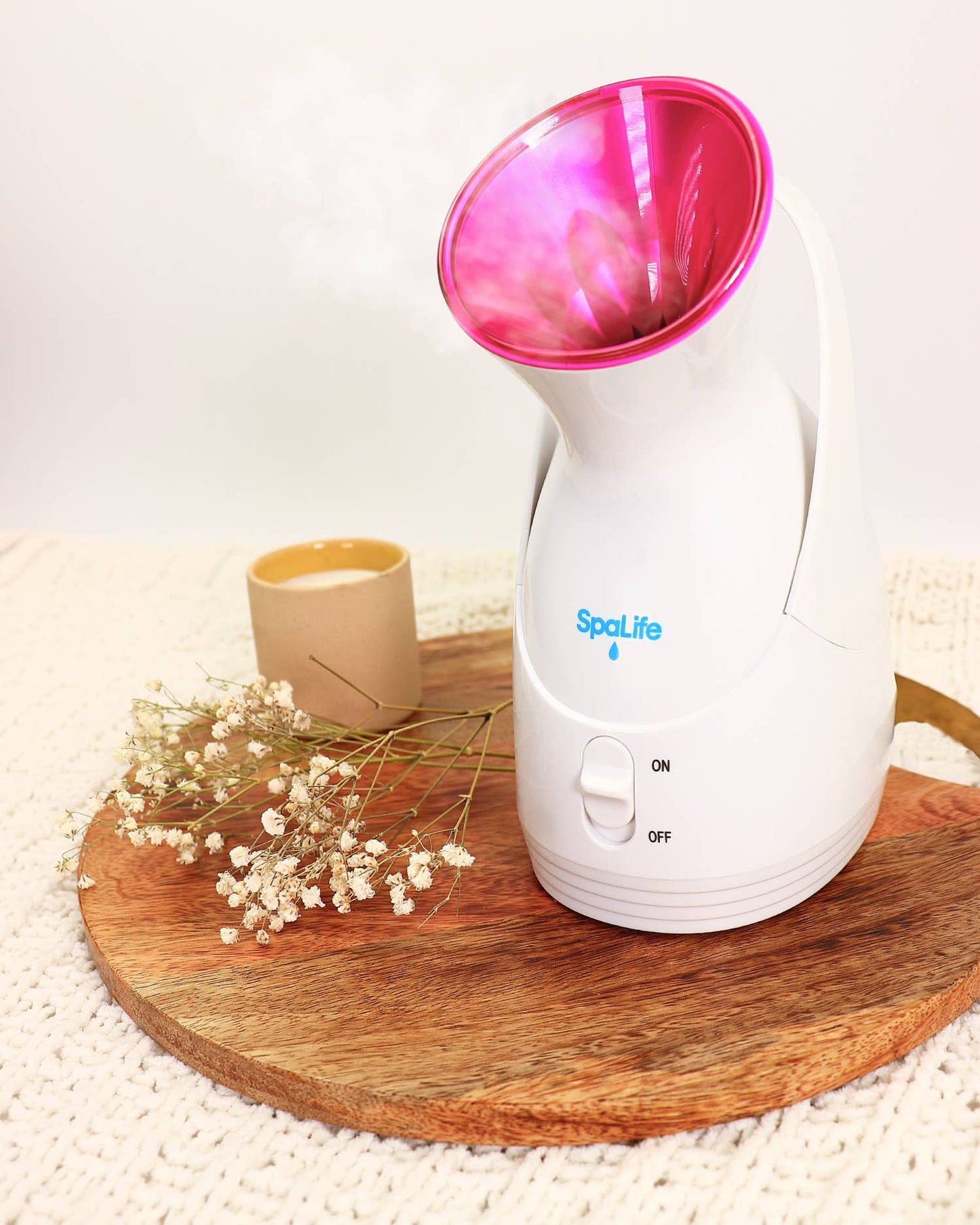 At Home Steam Facial Therapy Nano Ionic Warm Mist