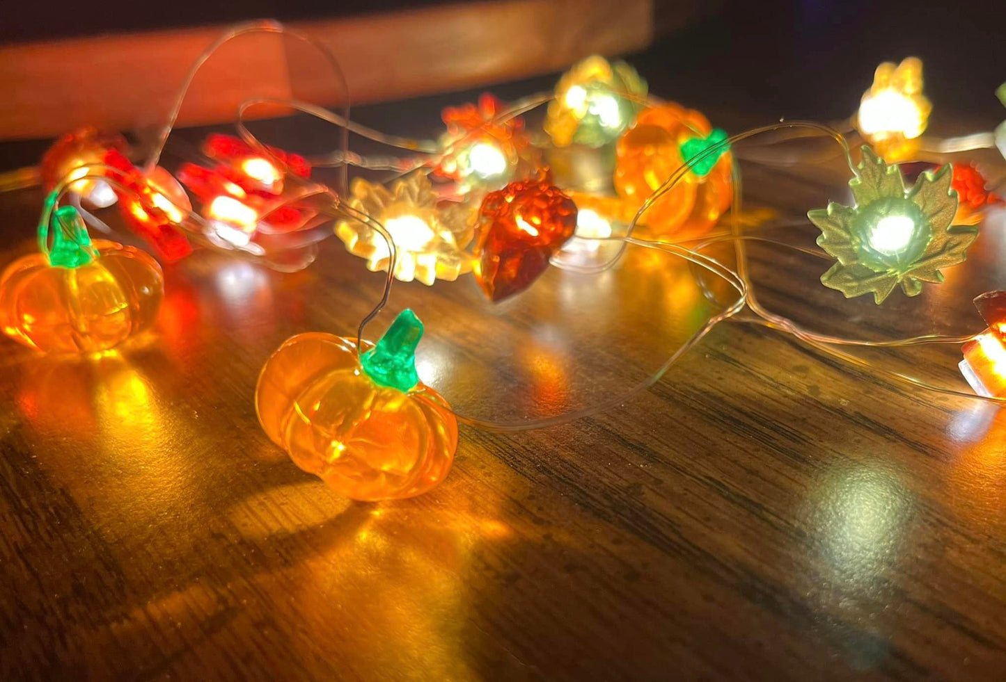 Fun Assorted Seasonal Lights