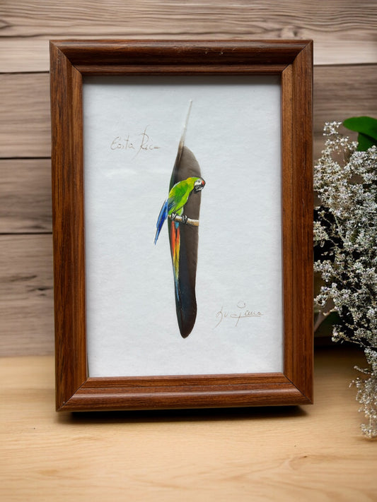 Hand painted  Feather Framed Art Macaw Signed Costa Rica 2004 Parrot
